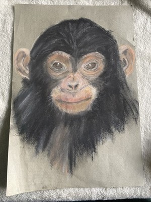 Vintage Original Bleistiftzeichnung - Schimpanse