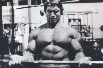 Arnold Schwarzenegger Lifting Hard Days Gym Art Wall Indoor Room - POSTER 20x30