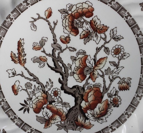 Myott Staffordshire DYNASTY (SWIRLED) 2 Dinner Plates GOOD CONDITION - Picture 3 of 5