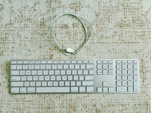 Apple Keyboard A1243 | eBay
