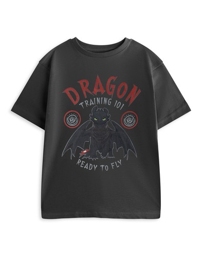 How to Train Your Dragon grau Training 101 Kurzarm T-Shirt Jungen