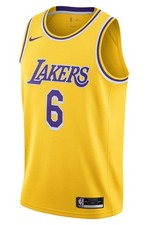 NIKE LEBRON JAMES LAKERS ICON EDITION 2020 NBA SWINGMAN JERSEY CW3669-738 MEN'S