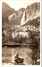 Postcard RPPC Yosemite Bear Cub Waterfall Kodak Stamp Box CA B207