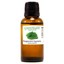 thumbnail 65 - Essential Oils - 30 mL (1 oz) - 100% Pure Therapeutic Grade Oil - 60+ Options!