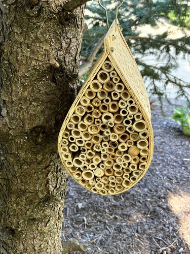 Teardrop Bee House, Natural Bamboo with Hanging Hook