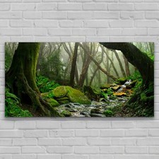 Kunstdruck Wandbild Deko Bilder XL Foto-Bild 140x70 Regen Wald Grün Himalaya