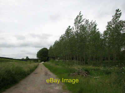 Photo 12x8 Slipton: site of Willow Close Quarry and Mine Either side of 19 c2012