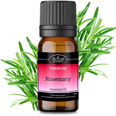 ROSEMARY essential oil Certified 100% Pure & Natural 7 Sizes Available.
