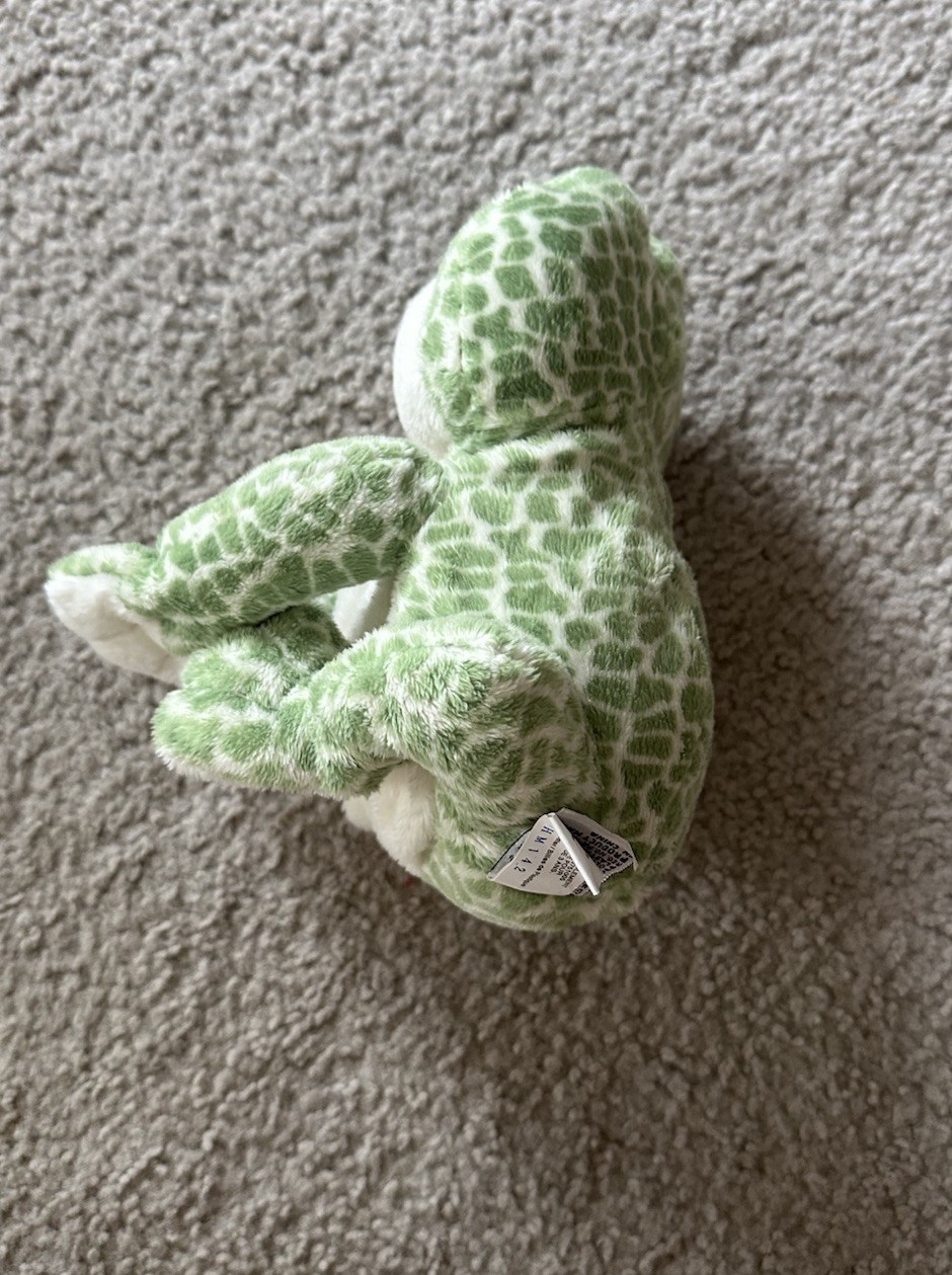 Picture 6 of 11