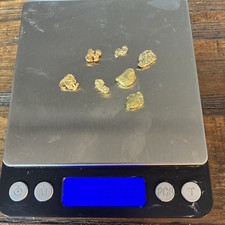 Australian Gold Nugget 10.48 grams 5223.48 per troy oz
