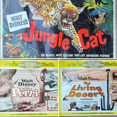 Ein 3er Set Original Vintage Walt Disney True-Life Adventures Poster 50er Jahre