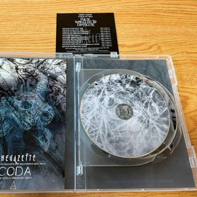 the GazettE LIVE DVD MAGNIFICENT MALFORMED BOX FINAL CODA TOUR  