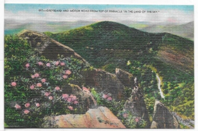 GREYBEARD MOTOR ROAD TOP OF PINNACLE IN THE LAND OF SKY VINTAGE POSTCARD 1A85