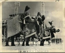1972 Press Photo Elephants in Rehearsal for Jerusalem Temple Tom Packs' Circus