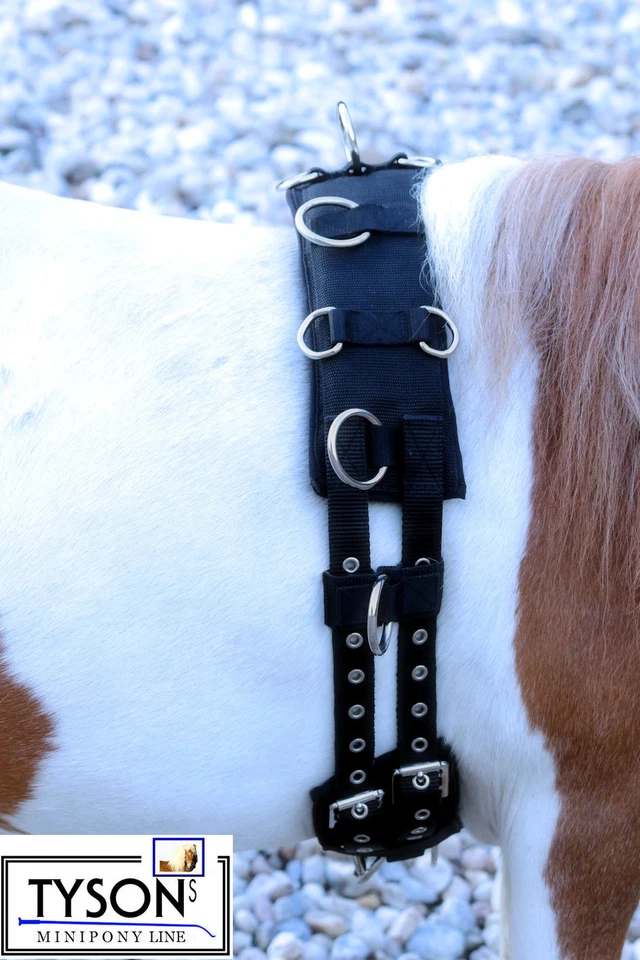 Longiergurt Gurt 16 Ring f. Doppellonge Neopren Minishetty Mini Shetty S P VB WB - Bild 2 von 4