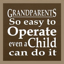 Grandparents So Easy To Operate Even Child Can Do It Refrigerator Fridge MAGNET