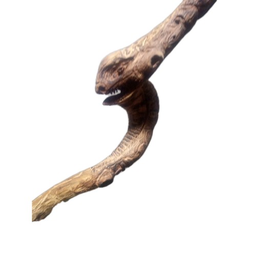 Walking Stick