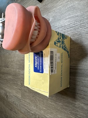 Kilgore Nissan Dental Study Model D81SDP-NYB.6-OB