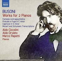 Audio Cd - Ferruccio Busoni - Works For 2 Pianos - Naxos -D- Neu