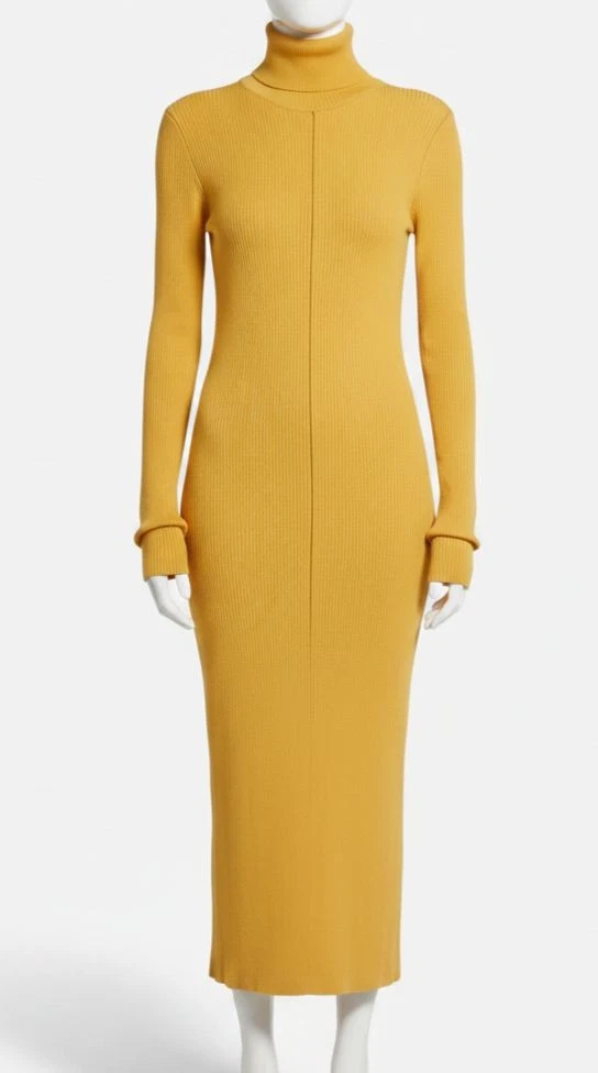 knee length dresses for ladies Black Turtleneck Bodycon Maxi Dress main image 1
