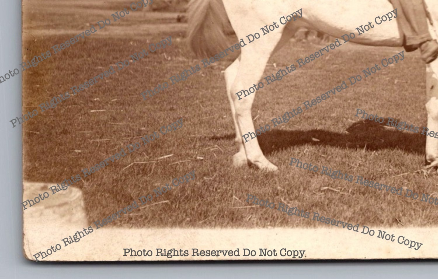 Antique RPPC man riding horse in park Real Photo Postcard 