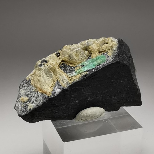 Smeraldo 163 ct con matrice / muzo, Colombia / esemplare di pietra preziosa cristallo grezzo - Foto 15 di 22