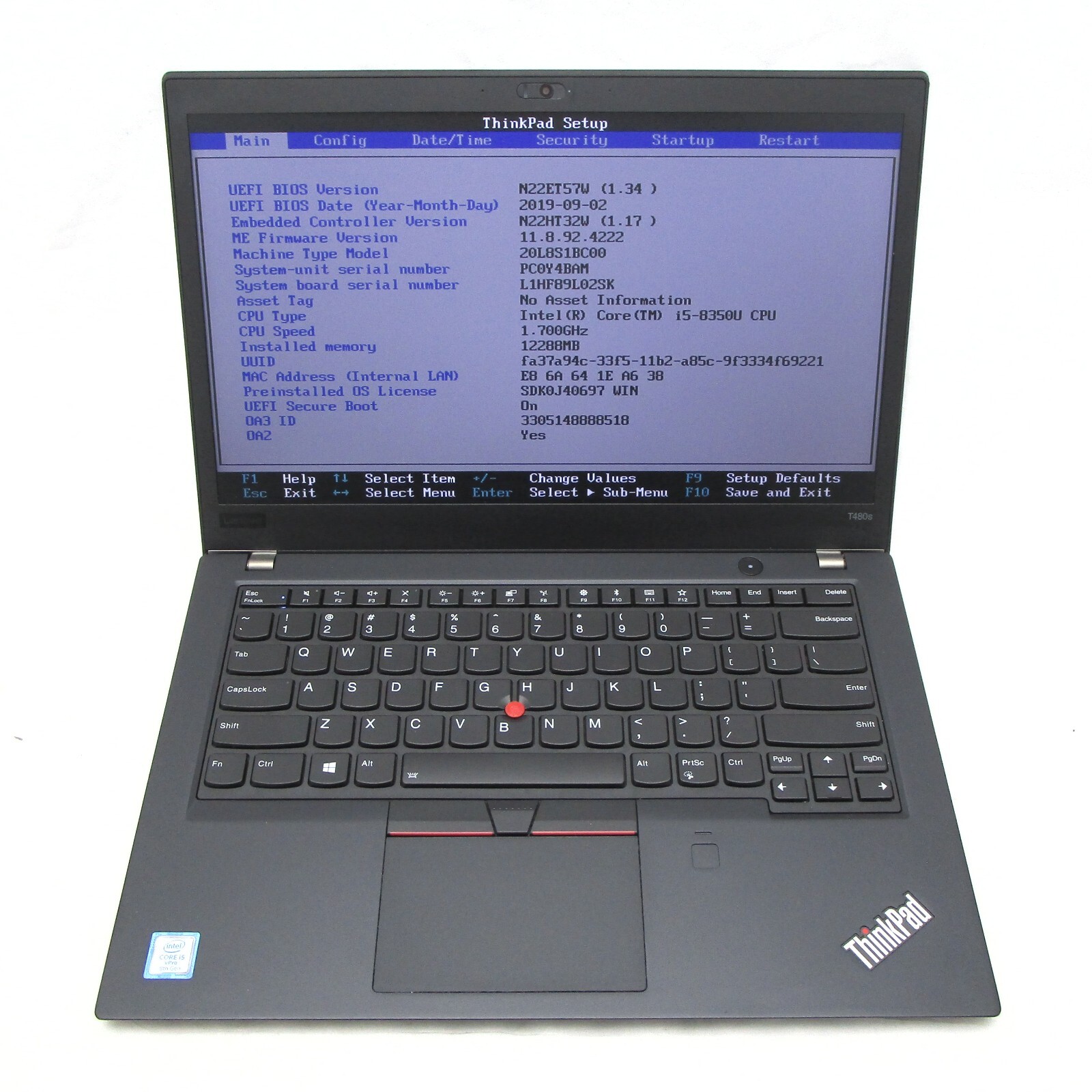 main image