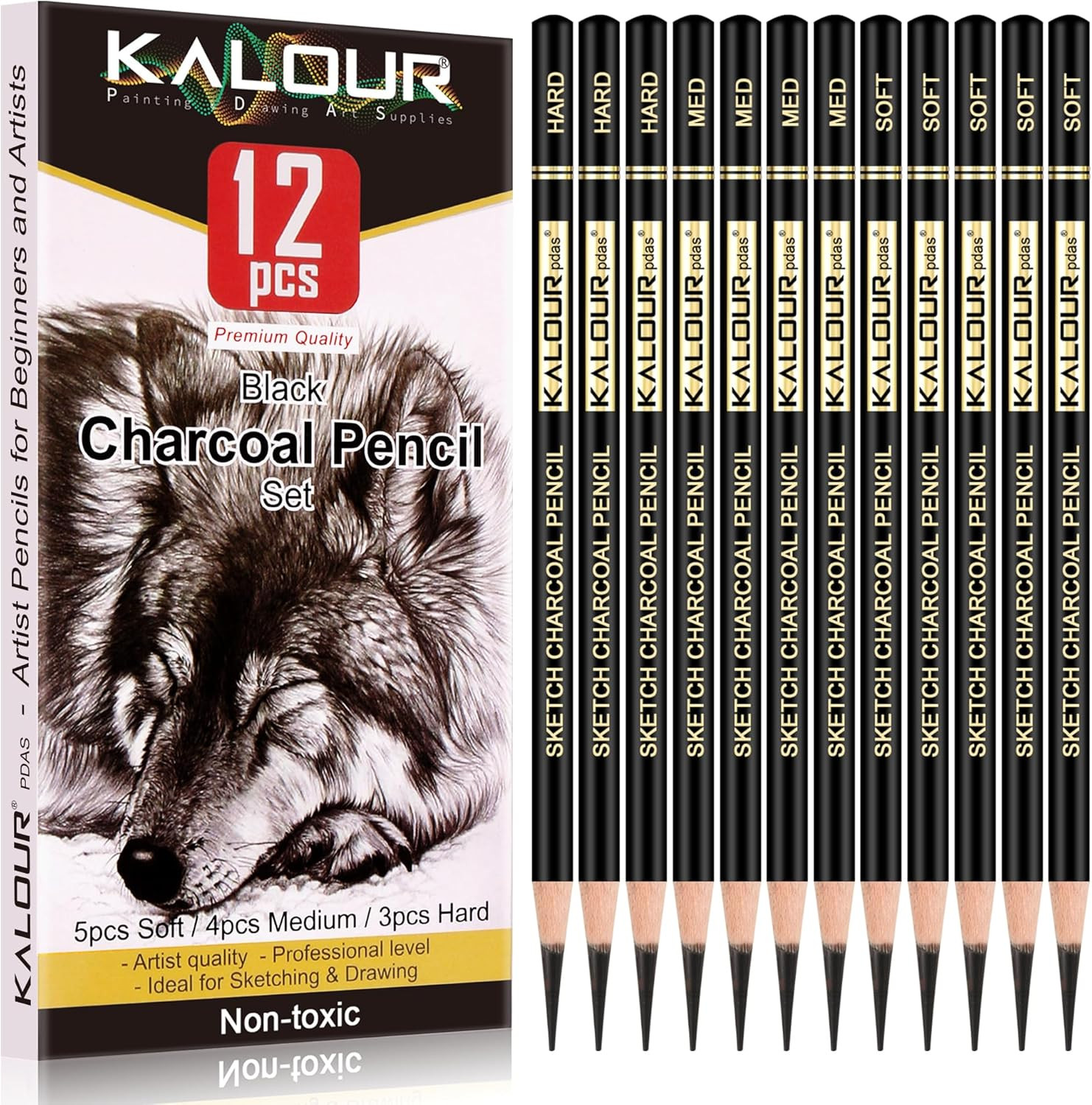 Professional Charcoal Pencils Drawing Set -12 Pieces Soft Medium and Hard Ch...