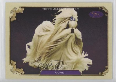 2024 Topps Allen & Ginter Best in Show Comet #SOS-30 rs2