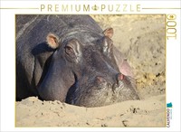 Calvendo Puzzle Flusspferde – Sonnenbad | 1000 Teile Lege-GrößE 64X48Cm Foto-Puz