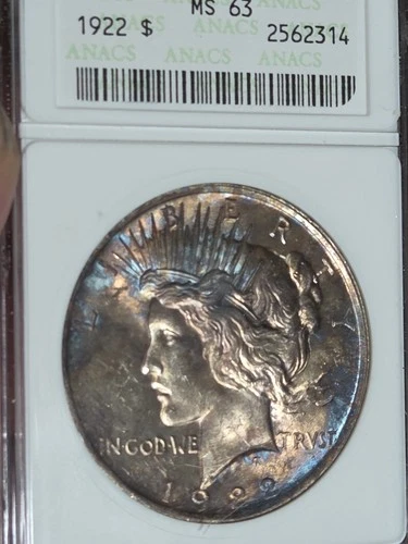 1922 $1 Peace Dollar ANACS MS63 Soapbox Toned #2562314