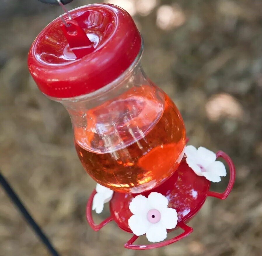 PerkyPet Top Fill Glass Hummingbird Feeder 24 oz Capacity (New) eBay