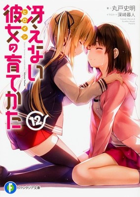 Saekano: How to Raise a Boring Girlfriend 12 (Fantasia Bunko) Fumiaki Mar [Book]