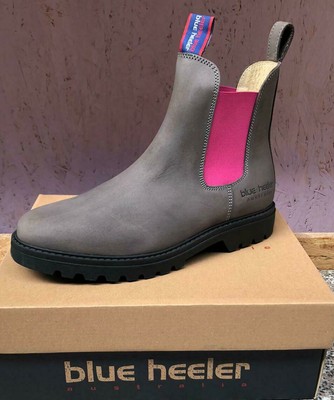 boots blue heeler