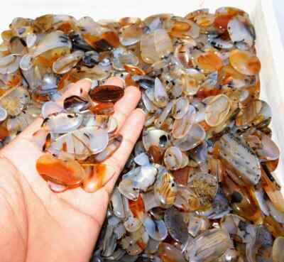 [WHOLESALE] NATURAL MONTANA AGATE  GOOD QUALITY GENUINE STONE FREE FORM LOT
