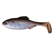 6th Sense Masterclass Panorama 3.5” Swimbait 5pk Live Gizzard Shad PSB35-LGS