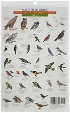 MAC'S FIELD GUIDE TO YOSEMITE NATIONAL PARK: BIRDS & By Craig Macgowan BRAND NEW