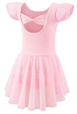 Ballet Leotards for Girls Toddler Dance Dresses 4-6 Years S1 ballet Pink