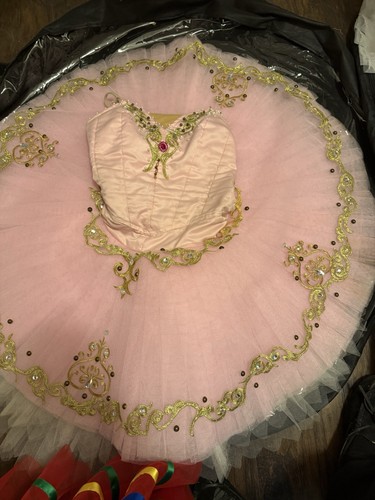 Beautiful Professional Pink Tutu
