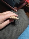 Authentic Arkansas Crowley's Ridge Polished Chert Celt - Chisel Indian Artifact — photo 10