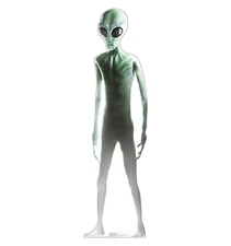 Big-Eyed Alien Life Size Cardboard Cutout Standup