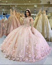 Floral Quinceanera Dresses Sweet 15 16 XV for Girl Baby Pink Party Ball Gowns