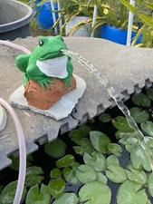 8” High Concrete Color Frog Pond Spitter Garden pond Statue ( Fits 1/2" hose)