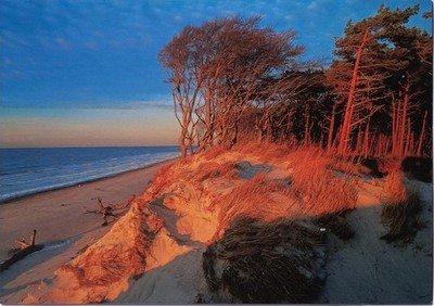 Postcard beech in the evening light on the Baltic Sea beach-card special format-No. 20894