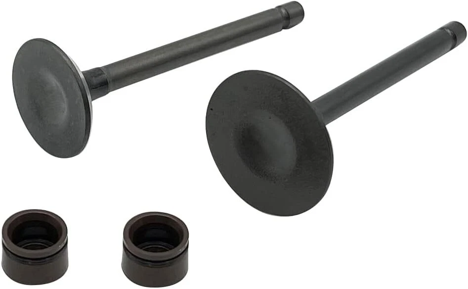Cylinder Head Intake Exhaust Valve for Yamaha TTR125L TTR125E TTR125LE 2000-2018 Foto 4 de 4