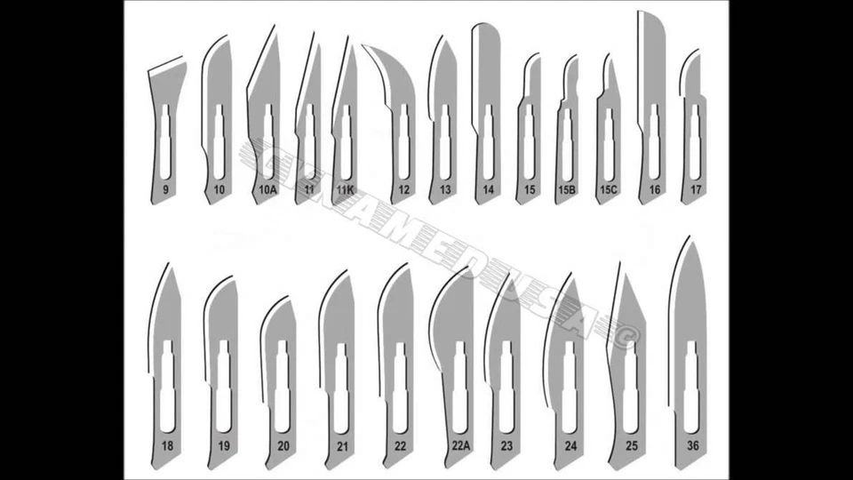 JUEGO DE 200 CUCHILLAS QUIRÚRGICAS ESTÉRILES #10 #11 #15 #15C #20 #21 #22 #23+ 2 MANGOS Foto 2 de 3