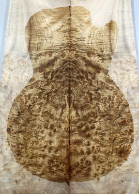 Electric Bass Guitar Top Golden Camphor Wood Burl Set Grade A Luthier Supply