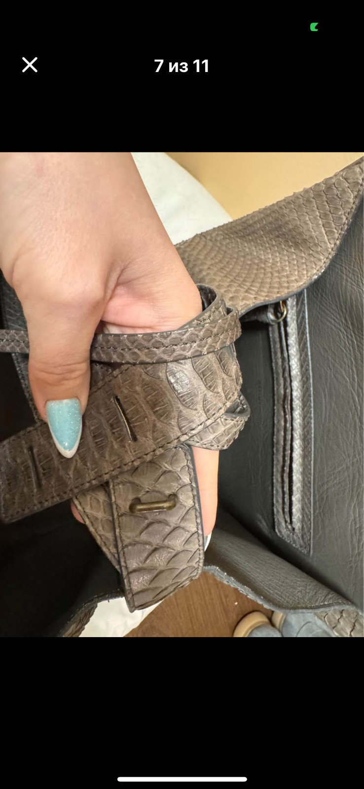 celine python - image 5