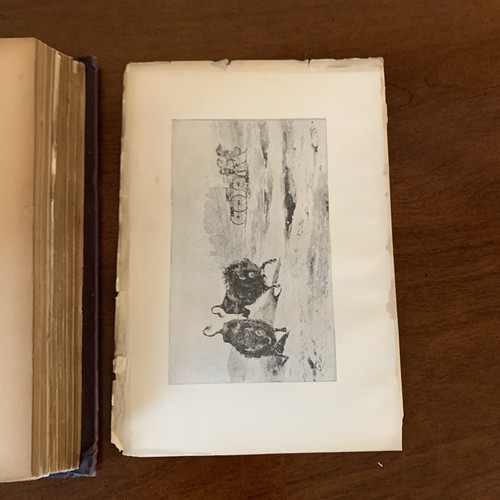 A MIGHTY HUNTER - The Adventures of Charles L. Youngblood BOOK Rand McNally 1890 - Picture 18 of 19