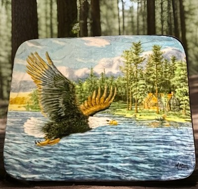Bedspread Throw Blanket Fur Plush Bald Eagle Soaring Western Signed Wall Hanging